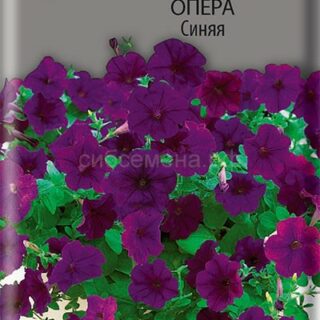 Петуния Опера Синяя ампельная (П)