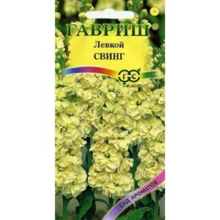 Левкой Свинг (Гавр)