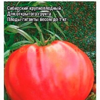 Томат РОЗОВЫЙ МЕД /СибСад/