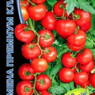 Томат Уральский экспресс - кистевой F1 (УД)