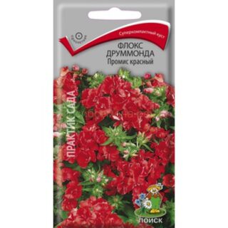 Флокс Промис красный (одн) (П)