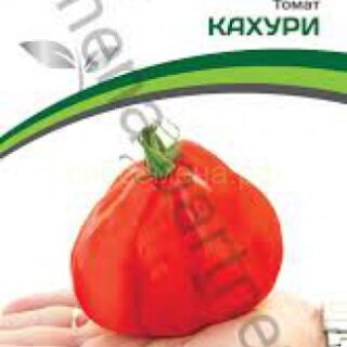 Томат Кахури (Партнер)