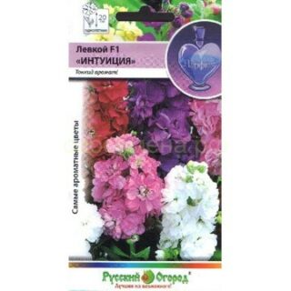 Левкой Интуиция (низкорос.см) (НК)