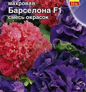 Петуния Барселона F1 махровая смесь окрасок (Аэлита)