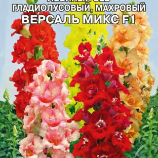 Львиный зев Версаль Микс F1 гладиолусовый махр (Премиум)