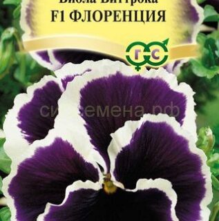 Виола Виттрока ФЛОРЕНЦИЯ /Гавриш/