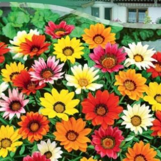 Гацания КИСС микс /Престиж/5шт.