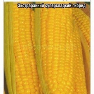 Кукуруза Супер Супер  Сладкая /СибСад/