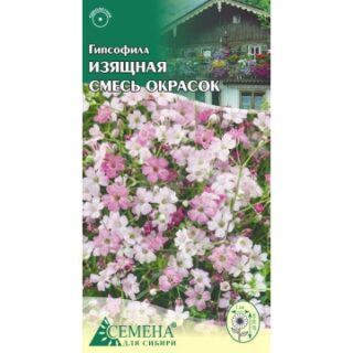 Гипсофила ИЗЯЩНАЯ смесь (цв.)