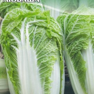 Капуста пекинская ЛЮБАША 0,3г./цв./