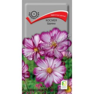 Космея ЦАРЕВНА /П/