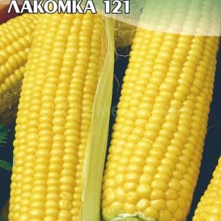 Кукуруза сахарная РАННЯЯ ЛАКОМКА 5гр (цв.)