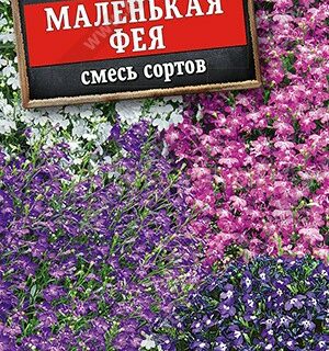 Лобелия Маленькая фея смесь окрасок (Аэлита)