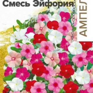 Катарантус Средиземноморский Эйфория смесь ампельная (Алтай)