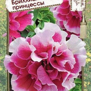 Петуния Бриллианты принцессы Дуо F1 махр (Премиум)