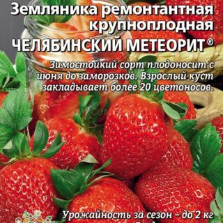 Земляника Челябинский метеорит ремонт крупн (УД)