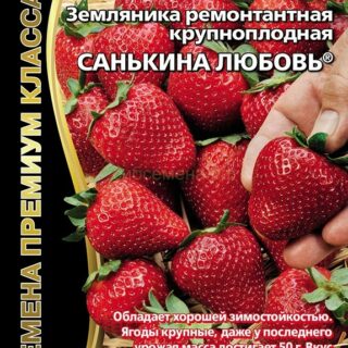 Земляника Санькина любовь ремонт крупн (УД)