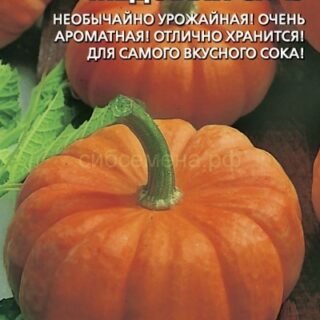 Тыква Медовый Сказ (УД)