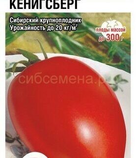 Томат Кенигсберг (Сиб сад)