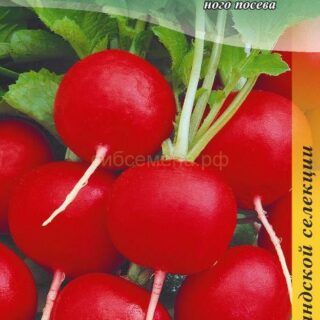 Редис Черриэт F1, 0,5г (цв.) Саката