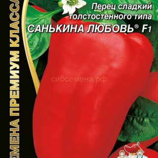 Перец Санькина Любовь F1 (УД)