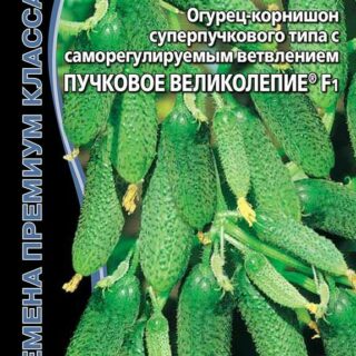 Огурец Пучковое великолепие F1 (УД)