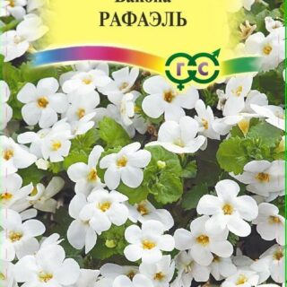 Бакопа Сутера Рафаэль (белая) (Гавр)