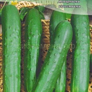 Огурец Зозуля /цв/