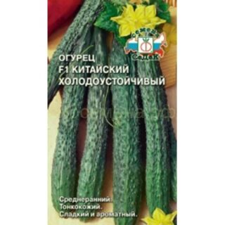 Огурец Китайский Холодоустойчивый /СеДеК/