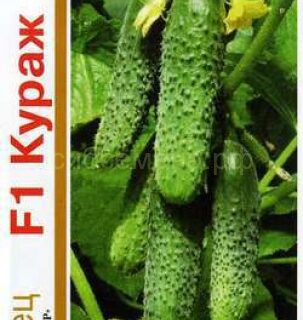 Огурец Кураж 1+1/20шт. /Гавриш/