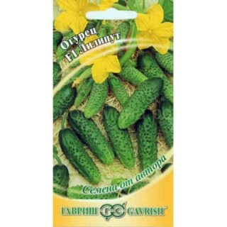 Огурец Лилипут /Гавриш/