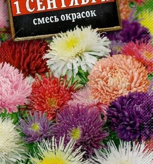 Астра 1СЕНТЯБРЯ смесь /Аэлита/