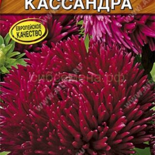 Астра КАССАНДРА /Аэлита/