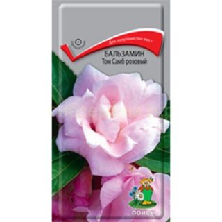 Бальзамин ТОМ САМБ розовый /Поиск/