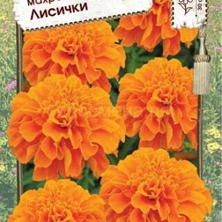 Бархатцы ЛИСИЧКИ отклоненные /Премиум/