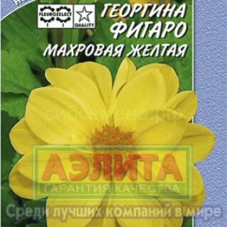 Георгина ФИГАРО желтый махровый./Аэлита/