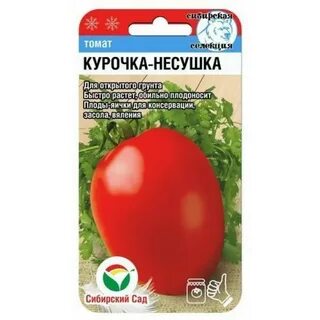 Томат КУРОЧКА-НЕСУШКА (СибСад)