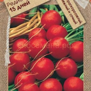 Редис 15 дней (Премиум)