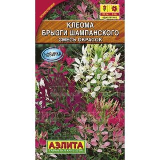 Клеома Брызги шампанского смесь окрасок (Аэлита)