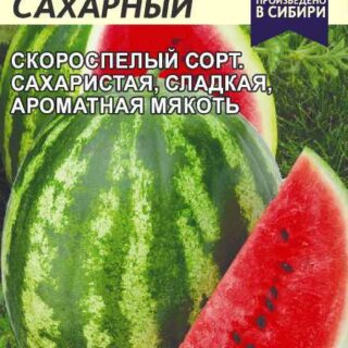 Арбуз БОЛЬШОЙ сахарный (Алтай)