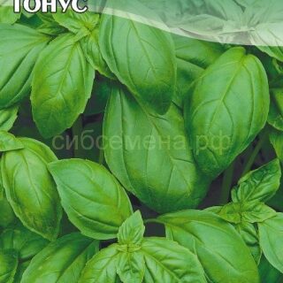 Базилик ТОНУС зеленый 0,3г (цв.)