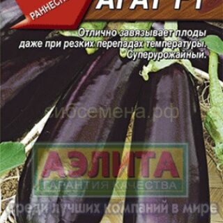 Баклажан АГАТ F1 /Аэлита/