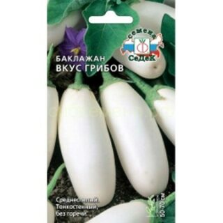 Баклажан ВКУС ГРИБОВ (Седек)