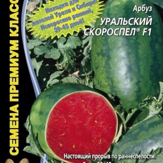 Арбуз Уральский Скороспел F1 (УД)