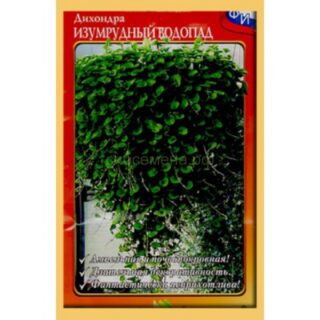 Дихондра ИЗУМРУДНЫЙ ВОДОПАД (НК)