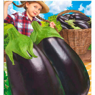 Баклажан Девочка-припевочка (СибСад)