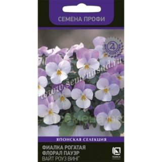 Фиалка рогатая Флорал Пауэр Вайт Роуз Винг Мн (П)