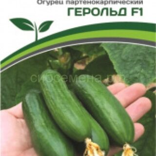 Огурец Герольд F1 (Партнер)