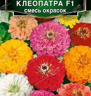Цинния КЛЕОПАТРА F1 смесь /Аэлита/