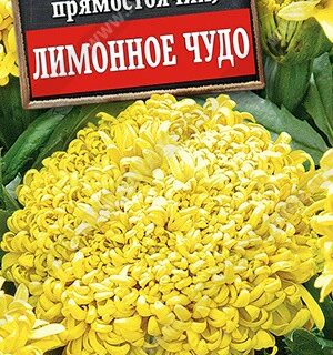 Бархатцы Лимонное чудо прямостоячие (Аэлита)
